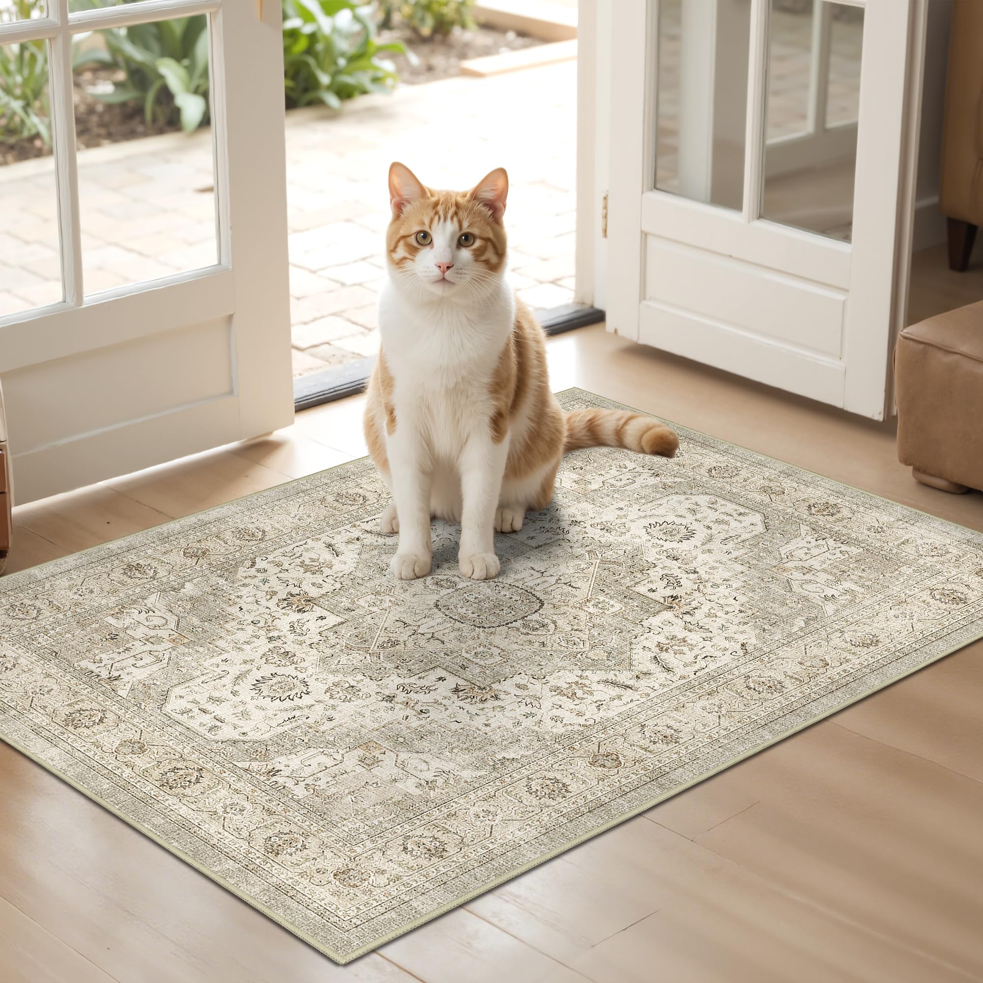 Amazon.com: Roxstand 2x3 Washable Entryway Area Rug, Ivory/Beige